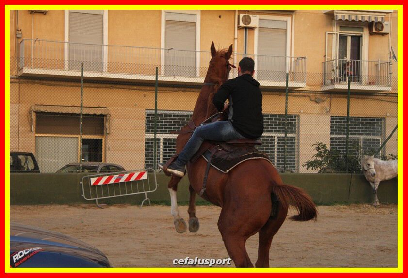 161106 equestre 119_tn.jpg